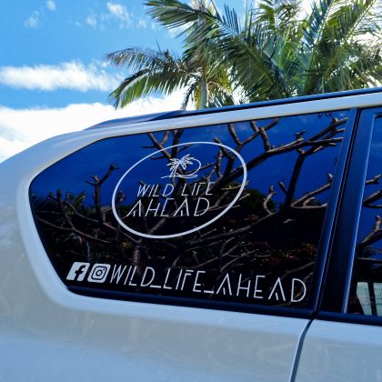 Picture of a customised sticker on the side rear window of a car.