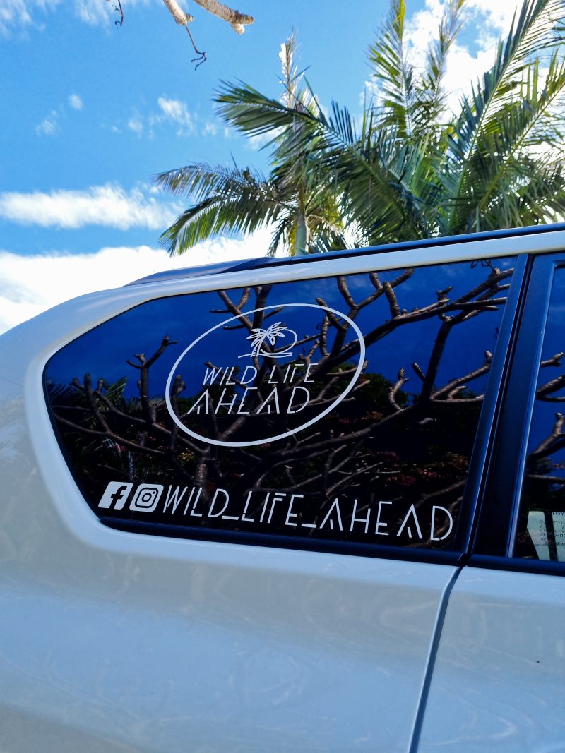 Picture of a customised sticker on the side rear window of a car.